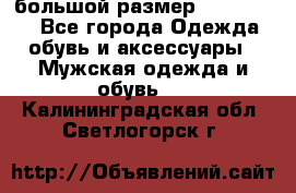 большой размер XX L  (2x) - Все города Одежда, обувь и аксессуары » Мужская одежда и обувь   . Калининградская обл.,Светлогорск г.